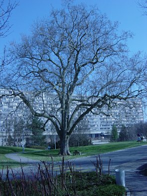Kliknij zdjęcie aby zobaczyć powiększenie